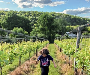 Run through the vineyards at Aquila's Nest. Photo courtesy of Aquila's Nest, Facebook