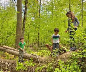 Take a hike with your little one on a family day trip from NYC.