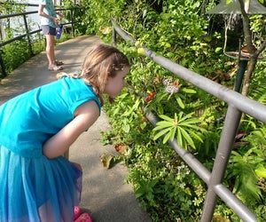 Photo by Jackie Jones