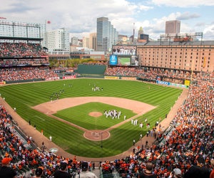 Watch the Baltimore Orioles play at Camden Yards. Photo courtesy the baseball team