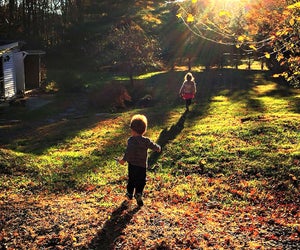 Romp through the woods in the beautiful Catskills. Photo by Deborah Dadlani