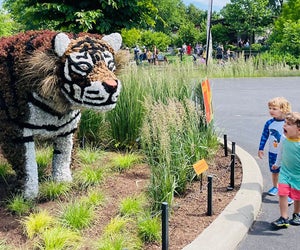The Franklin Park Conservatory features 30 larger-than-life animal topiaries on display during Garden Safari.  Photo courtesy of the garden 