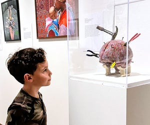 Step into a world of family fun and things to do with kids in Greenwich, Connecticut! Photo courtesy of the Bruce Museum