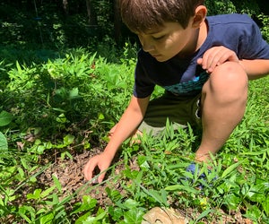 Find a bare patch of soil to place your seed bomb. Spread them far and wide! Photo by the author