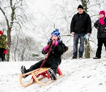 Challenge the hill at Caldwell Woods. Photo courtesy of the Forest Preserve District of Cook County