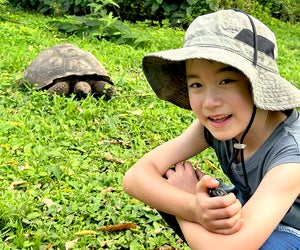 Head across the Pacific Ocean to meet the amazing creatures of the Galapagos Islands.