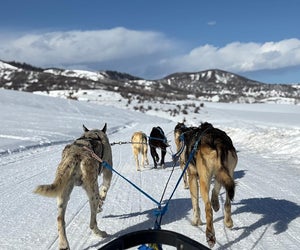 Join Grizzle-T for a 1/2 Day Adventure along a private trail where you learn how to 