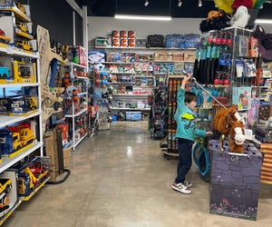 Tomfoolery is packed with toys. Photo by Jessica Stautberg