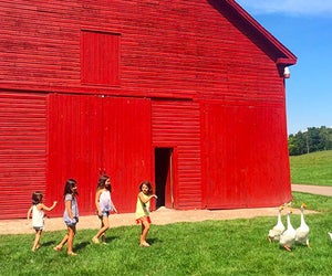 Photo by Dora Somosi via Instagram