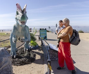 Have a dino-mite time at The Lawrence. Photo courtesy of The Lawrence Hall of Science