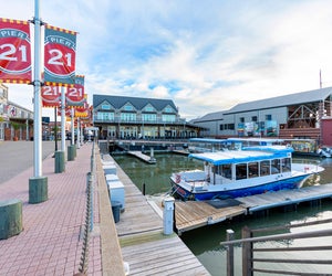 Baywatch Dolphin Tours are a fun, kid-friendly tour near Houston. Photo courtesy of Visit Galveston