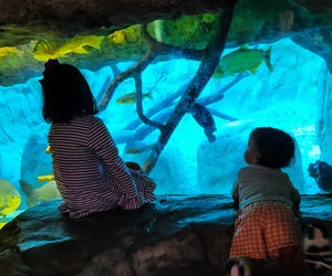 Photo by author Rebecca Matheson Ortiz for Mommy Poppins.