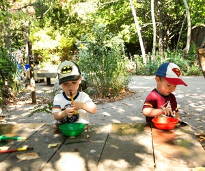 Free activities for kids in Chicago include the Lincoln Park Zoo, which is always free. Photo courtesy of the museum via Facebook