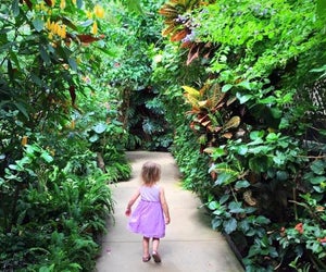 Are we in the tropics? It's warm and inviting at the Magic Wings Butterfly Conservatory in Massachusetts. Photo courtesy of Katie Wadland