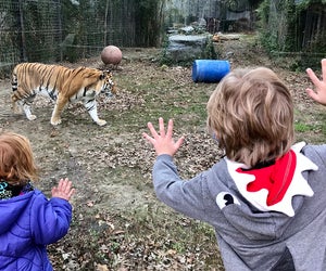 Admission to the Cohanzick Zoo in Bridgeton is completely free. Photo by Lisa Warden 