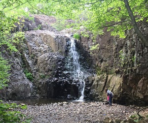Hike 1.6 miles to reach the dramatic beauty of South Mountain Reservation's Hemlock Falls. Photo by Rose Gordon Sala