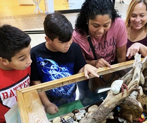 Reptile lovers and other animal aficionados will have a blast at Super Pet Expo. Photo courtesy of the expo