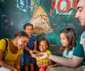 The National Museum of Natural History is free every day. Photo by Paul Fetters for the Smithsonian