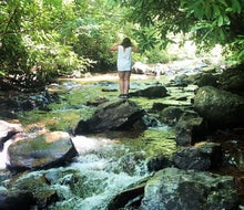 Plan a hiking trip during your visit to the Poconos for a summer weekend getaway. Photo by Ally Noel