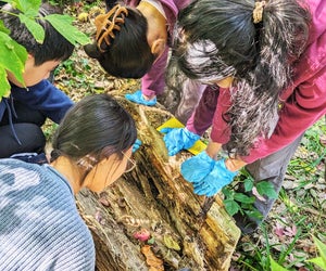 Kids as young as 14 can apply for an eco-focused internship at Alley Pond Park in Queens. Photo courtesy of the Alley Pond Environmental Center