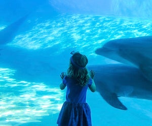 Preschoolers explore the wonders of the seas at SeaWorld Orlando.
