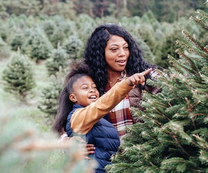 Is it better to chop down a living tree, or reuse a hunk of plastic? We investigated. Photo by Any Lane via Pexels