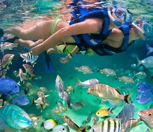Photo of snorkeling at Xel-Ha in Mexico courtesy the water park.