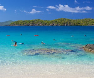  Coki Point Beach offers some of the best snorkeling in St. Thomas, Virgin Islands. 