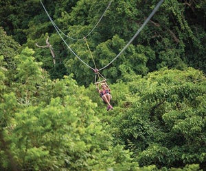  Zip line through the stunning jungles of St. Kitts with Sky Safari. 