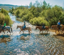 Take a family horseback ride through the beauty of C Lazy U Ranch.