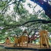 The playground at Tucker Ranch Preserve sports a treehouse-feel, surrounded by nature.