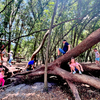 Bonnet Springs Park in Lakeland makes the the perfect outdoor day trip.