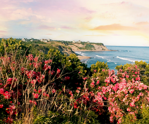 Wander the trails near the cliffs  on Block Island. 