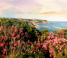 Wander the trails near the cliffs  on Block Island. 