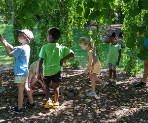 Kids get to explore nature at Morris Arboretum Camp. Photo courtesy of the arboretum